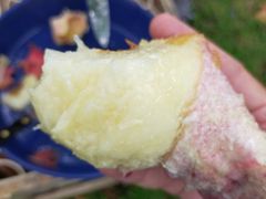 xgkawashima̒_ւ̓eʐ^1