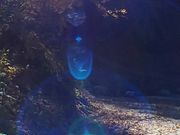 aosa����̕��Y���̓��e�ʐ^2