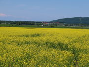 yosshỹR^jAO̓eʐ^1