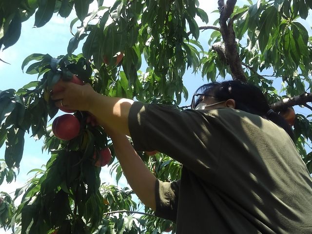 邱ƖIюňł܂B
kňړȂ̂ŏ敨ł̖ɂ͗ǂłB_