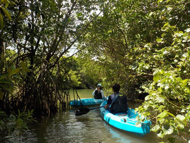 �J���b�N�ɖ���_�܂�܂��