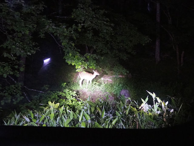 �G�]�W�J_�s�b�L�I�@�m��