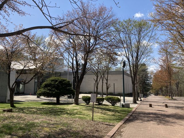 �k�C�����эL���p��_�k�C�����эL���p��