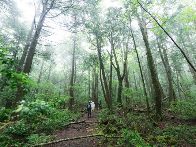 �_��I�Ő����͂��ӂ����C_�A�E�g�h�A�̌� in �x�m�R�[ FUJI HAT