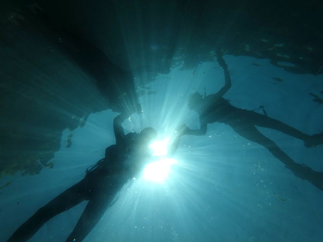 KChɐBe܂_lC`[ANeBreBZ^[ I[VfCY ϒOX