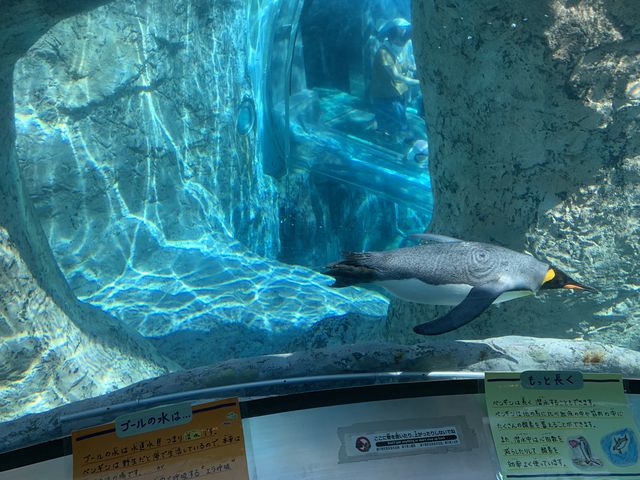 �y���M��_���R������