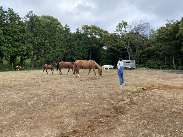 �̌���Ɏ��R�ɉ߂����n_HORSE BASE