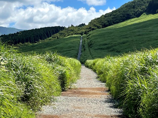 8�����{�̐�Ό�_��Ό�����