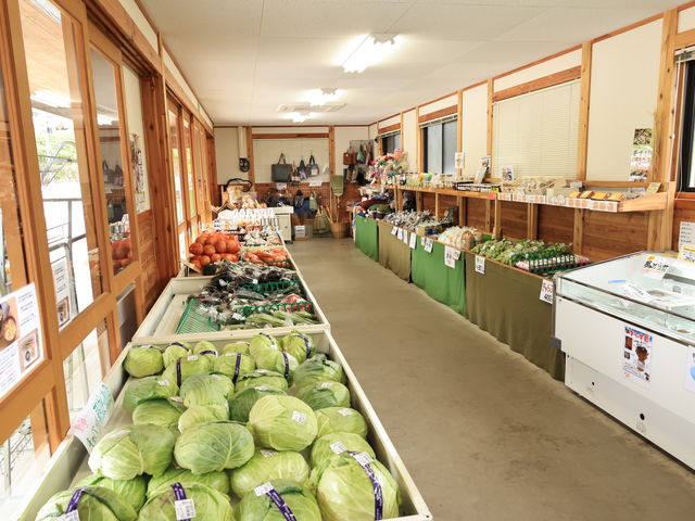 �X��_���̉w�@��򉷐�