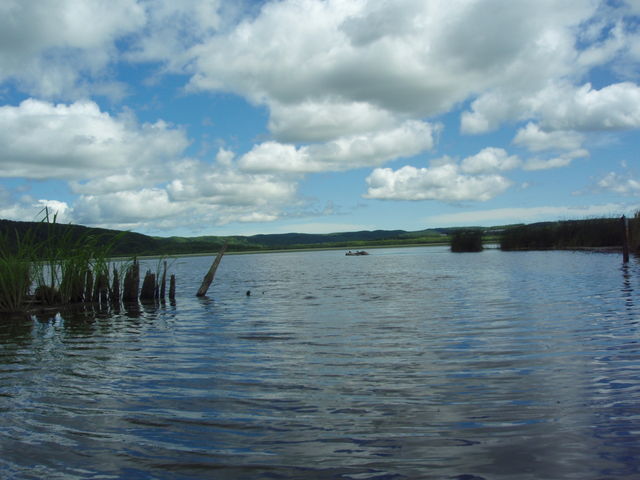 �A��Ɏʂ�����_������ЃJ�k�[�v��