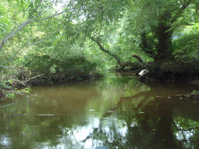 �W�����O���B�h���Ă��钎�����򗈁I_������ЃJ�k�[�v��