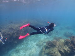 񂼂COSMIC OCEANւ̓eʐ^1