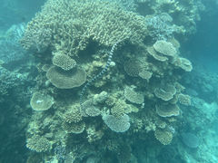 񂼂COSMIC OCEANւ̓eʐ^2