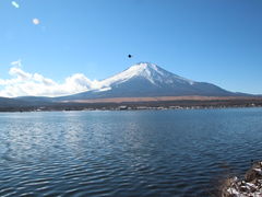 jkammy07̒reւ̓eʐ^1