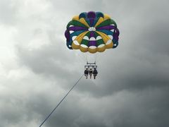 񂳂̐Ί_u[V[T[ւ̓eʐ^1