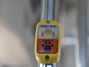 ʂ̐VsόzoX̓eʐ^2