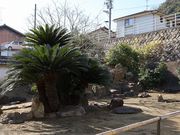 Yanwenlï̃\ec̓eʐ^2