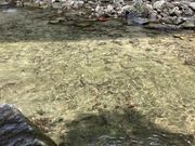 Ƃ񂳂̐V_ˉw̓eʐ^1