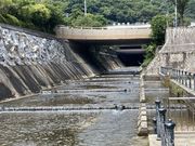 Ƃ񂳂̐V_ˉw̓eʐ^3