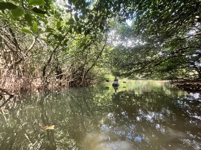 大自然に包まれた非日常的な写真が撮影できます♪_OHCUS石垣島