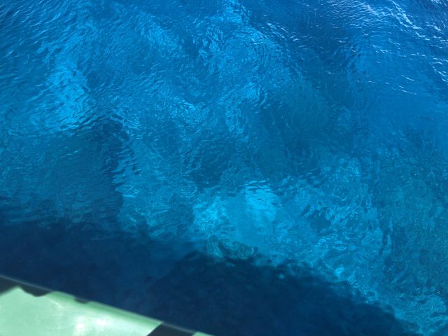 �������Y��ȊC�ł����B_�W���C�N���G�C�g���� �e�B�[�_