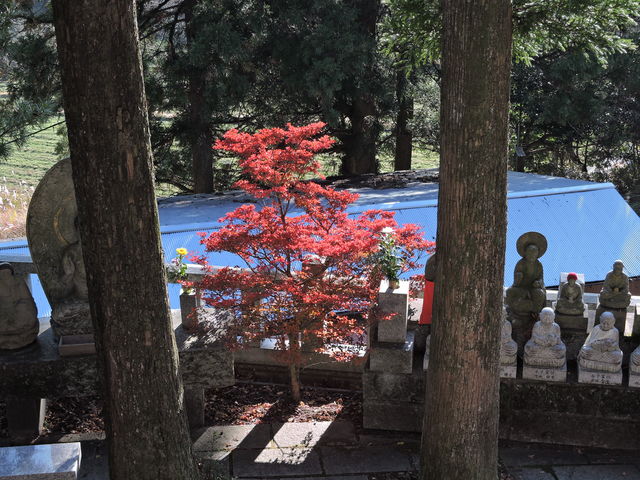 �g�t�Ƃ��n������_�ێR�ω���