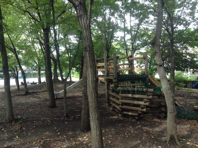 Ё[񂳂̖LnՌ̓eʐ^3