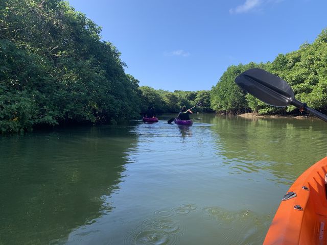 �ߑO���̃c�A�[_�܂�܂��