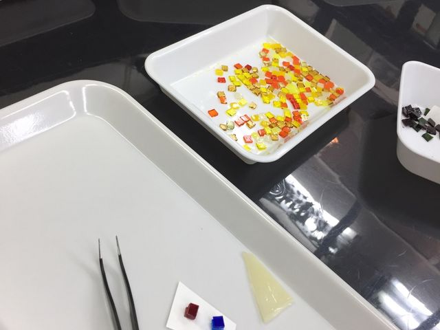 �Y��ȐF�΂���łǂ�ɂ��悤�������܂���_��&�K���X�H�[�E�r�� cat's paw