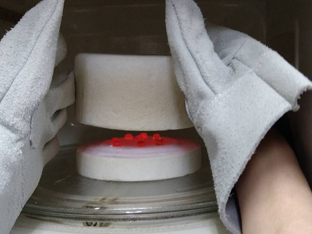 ����y�ł����A�����ƍ���Ă銴�����̌��ł��܂�(��)_��&�K���X�H�[�E�r�� cat's paw