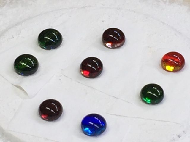 �݂Ă邾���ł�������܂�_��&�K���X�H�[�E�r�� cat's paw