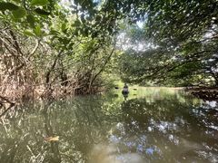 ܂䂳OHCUSΊ_ւ̓eʐ^1