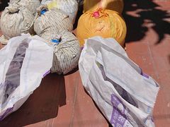 �D�􉀃t���[�c�����h�̎ʐ^1