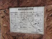 Ё[񂳂̖LnՌ̓eʐ^2