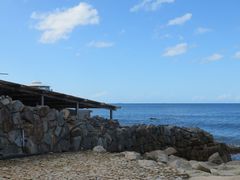 �Ă�������̔��l����@��̓��ւ̓��e�ʐ^1