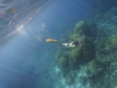 �΂�肳���SUN SEA ������Ђւ̓��e�ʐ^1