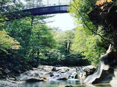 ݂񂮂̓SɊ^ւ̓eʐ^1