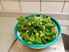 �݂���̎��R�̌��H�[�����Ȃ����ւ̓��e�ʐ^1