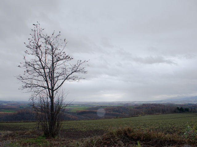 rAꏊ炸AiFȂAւ񂾂낤ŁAԂ𑖂点AȂƂ܂B__yA̋u