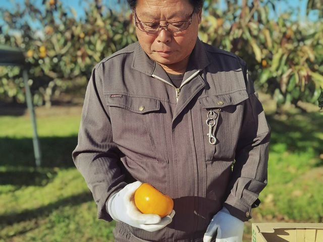 �����͂ƂĂ��D�������ł��A�ڋq�ƋƖ����厖�ɂ��܂��B_�ؔ_��