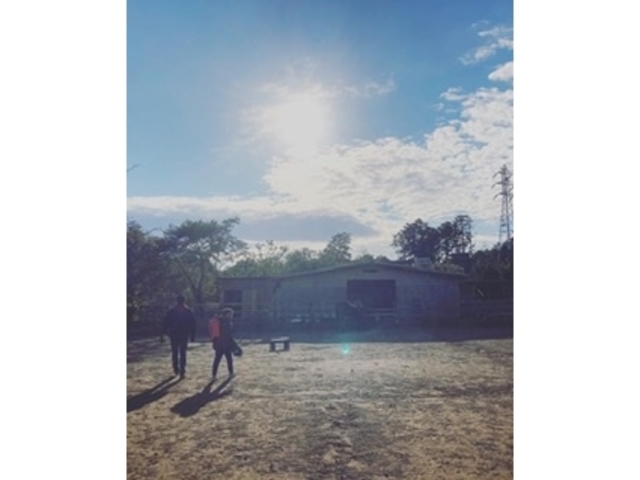 ���܂��ܕ������������ł����A�ƂĂ��y���������ł��B_HORSE BASE