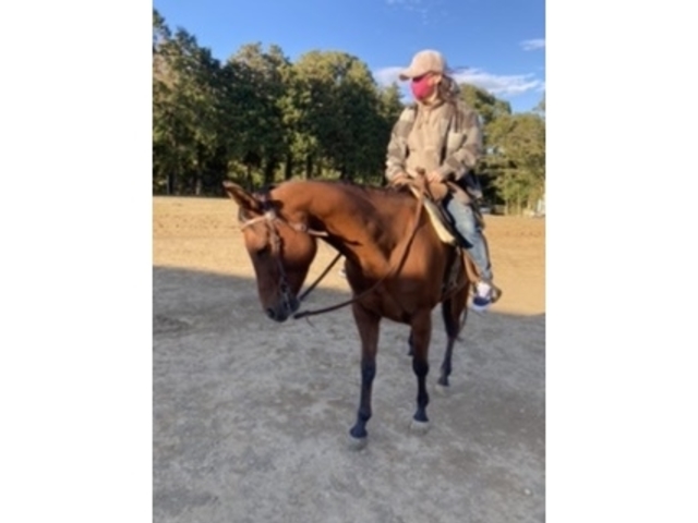 �h�L�h�L���N���N�̏�n�̌�_HORSE BASE