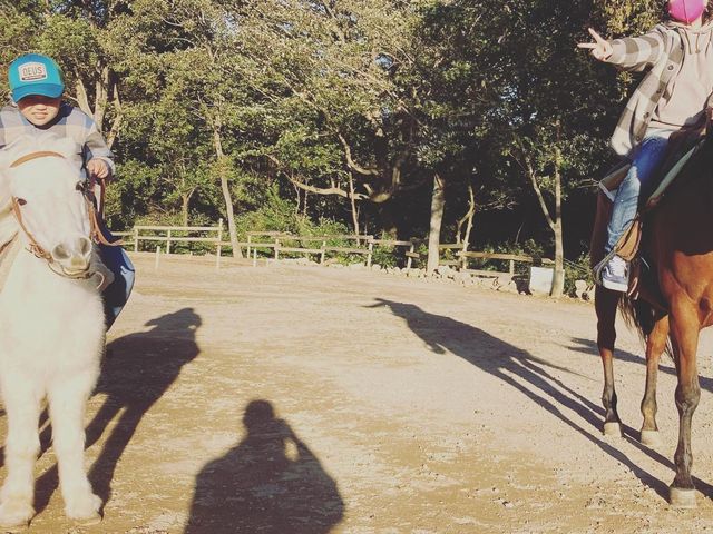 ��������ʐ^���B���Ă���܂����B_HORSE BASE