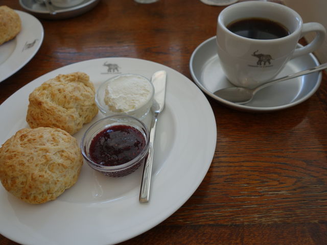 R[q[ƃXR[_iXEVE]E JtF