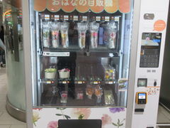 �G���b�N����̏��c�}�d�S�V�h�w�ւ̓��e�ʐ^1