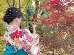 Ƃۂ񂳂̋s^ Ȃłւ̓eʐ^1