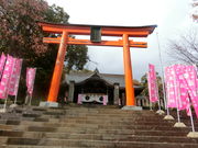 ܂̓_ЁiʐVc`V{j̓eʐ^1