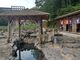 雪乃さんの湯原温泉への投稿写真2