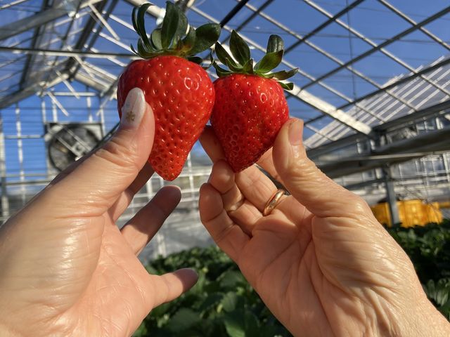 ���������Ĕ�������������_�z���܂�_��