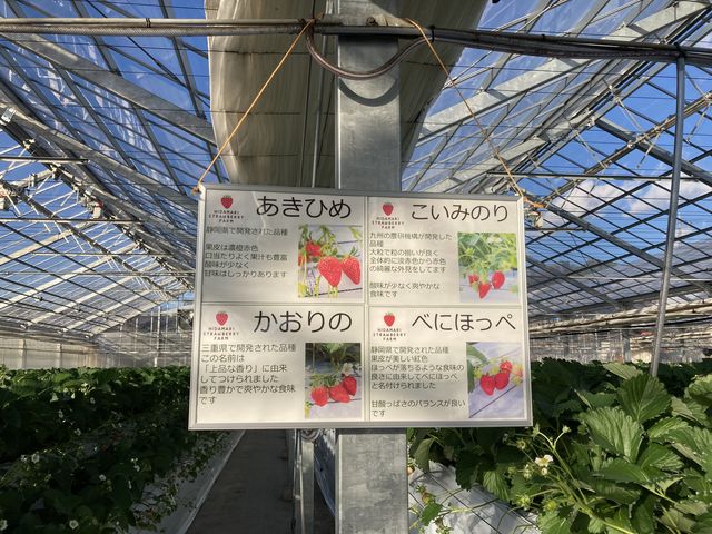 �ǂ̕i����������������ł��B_�z���܂�_��